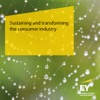 Sustaining and transforming the consumer industry