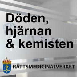 Rättsodontologi