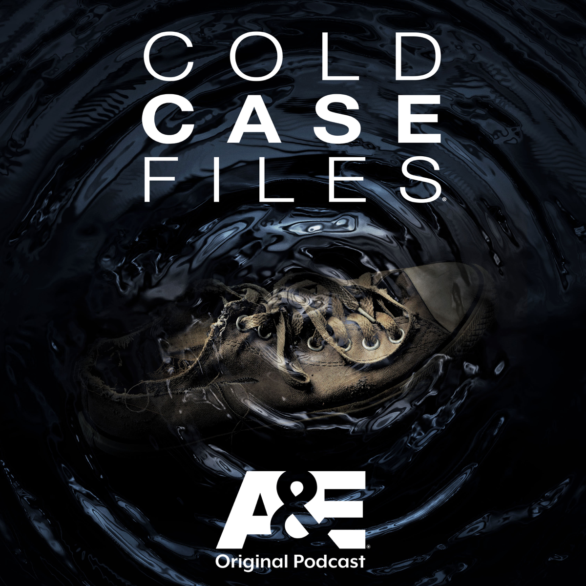 the-10-best-cold-case-episodes-podyssey