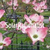 SolarRationalist artwork