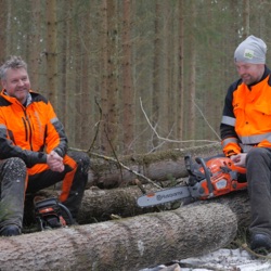 Skogsfredag #117 - Kan norrlänningar kräva betalt för kolsänka av sörlänningar framöver?