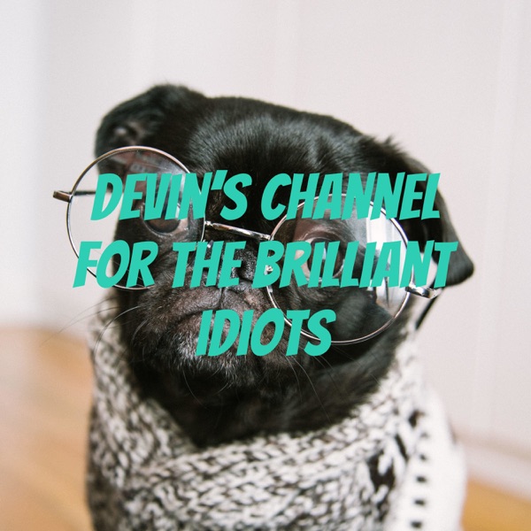Devin's channel for the brilliant idiots Artwork