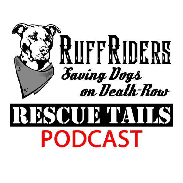 RuffRiders Rescue Tails Artwork