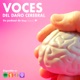 VOCES DEL DAÑO CEREBRAL. Capítulo 28 – La vuelta al cole de los niños con DCA