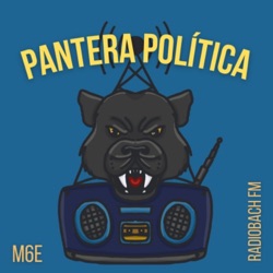 PANTERA POLÍTICA