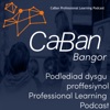 CaBan Professional Learning Podcast artwork