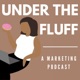 Under the Fluff: A Marketing Podcast
