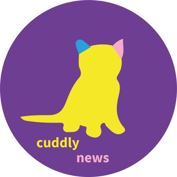 Little News Ears - Cuddly News Artwork