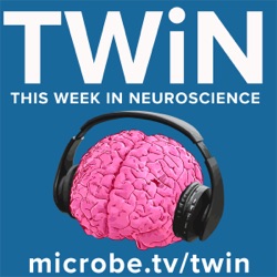 TWiN 53: Slowing time by cooling the brain