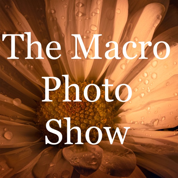 The Macro Photo Show Artwork