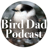 Episode 8: Among Forgotten Things