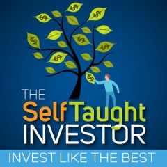 STI 13:  Billionaire Investor Ray Dalio’s How the Economy Works.