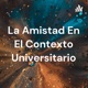 La amistad en el contexto universitario