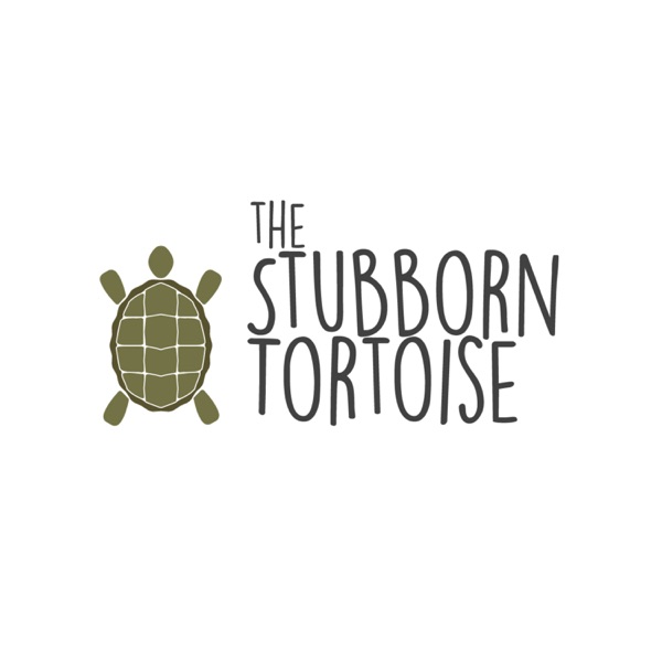 The Stubborn Tortoise Artwork