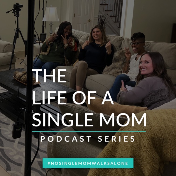 The Life of a Single Mom Artwork