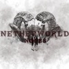 Netherworld Noobs artwork