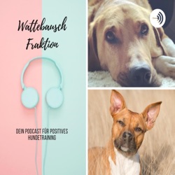 #80 Wattebauschtalk: Ein ehrlicher Einblick in unseren Alltag als Hundetrainerinnen