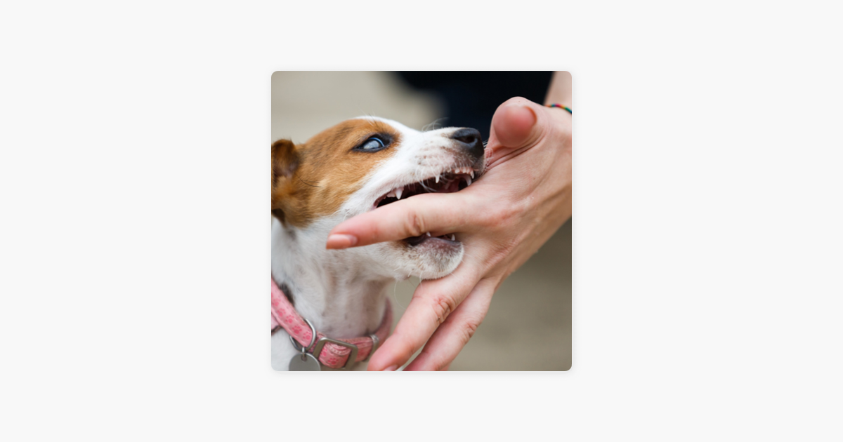 ‎The McCann Dog Training Podcast: Creating Good Bite Inhibition - Episode 31 on Apple Podcasts