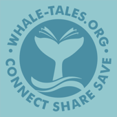 Whale Tales Podcast - Whale Tales