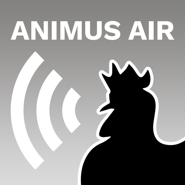 Animus Air Artwork