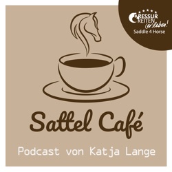 Folge No 5 Interview mit Jochen Schleese