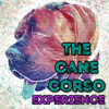 The Cane Corso Experience - Johnny Dough