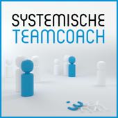 Systemische Teamcoach - Anne Jan de Witte