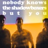 Nobody Knows The Shadowboxers But You artwork