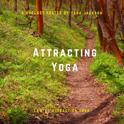 New Year Law of Attraction Yoga Sequence