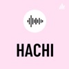 HACHI artwork