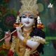 Vrindavan’s super cute hero “ RadhaRaman “