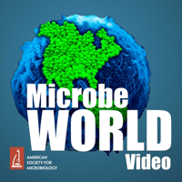 MicrobeWorld Video (audio only) podcast