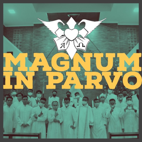 Magnum in Parvo