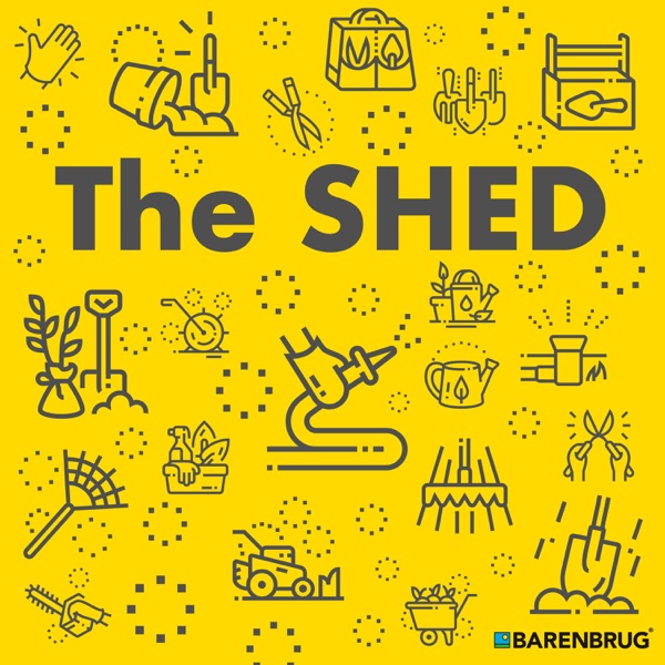 The Shed Artwork