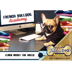 Hello All Welcome to French Bulldog Academy! #FrenchieFriday
