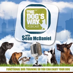 Session 103: Interview with Dog Trainer Michael Wombacher