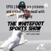 The Whitefoot Cricket Show artwork