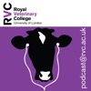 Research Podcasts  – Veterinary Science on the Move