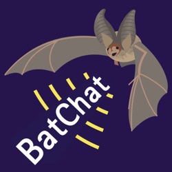 Bats in the Channel: Jersey Bat Group