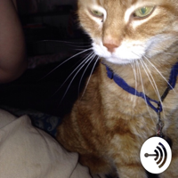The Johnny tiger experience034
