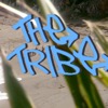 The Tribe Official Podcast