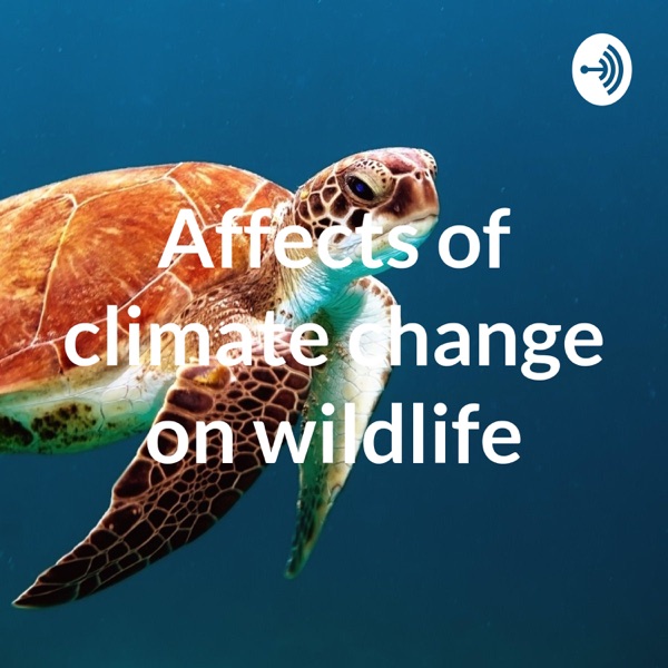 Affects of climate change on wildlife Artwork