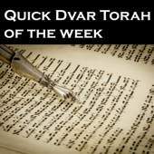 Quick Dvar Torah of the week - Sruli Schochet