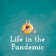 Life in the Pandemic