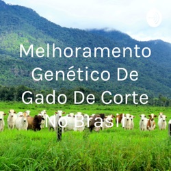 Melhoramento Genético De Gado De Corte No Brasil