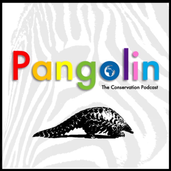 Pangolin: The Conservation Podcast Artwork