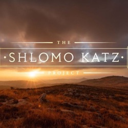 The Shlomo Katz Project