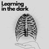 Learning in the Dark artwork
