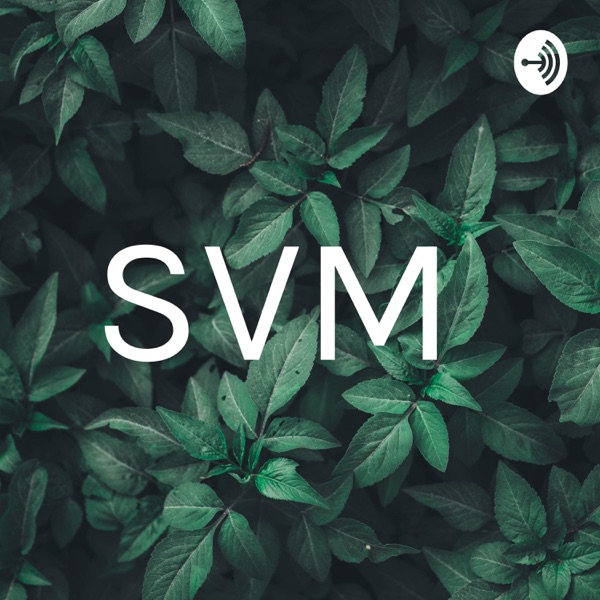 SVM Artwork