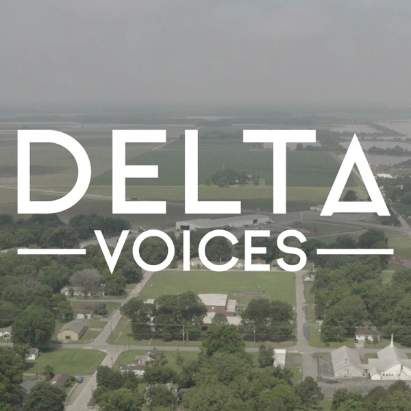 Delta Voices: Artists of the Mid-South Artwork